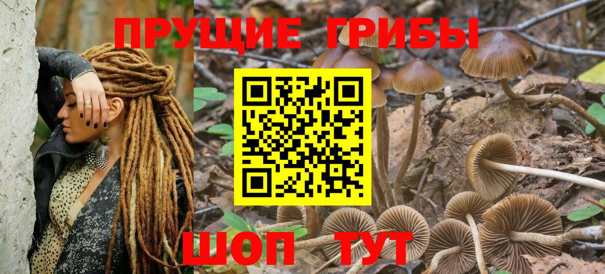 Галлюциногенные грибы мицелий  Вход с VPN  Гай 