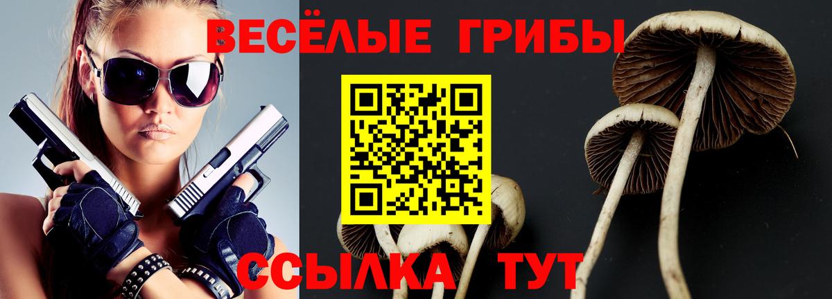 Галлюциногенные грибы GOLDEN TEACHER Гай