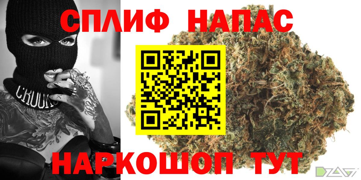 Каннабис Ganja Гай